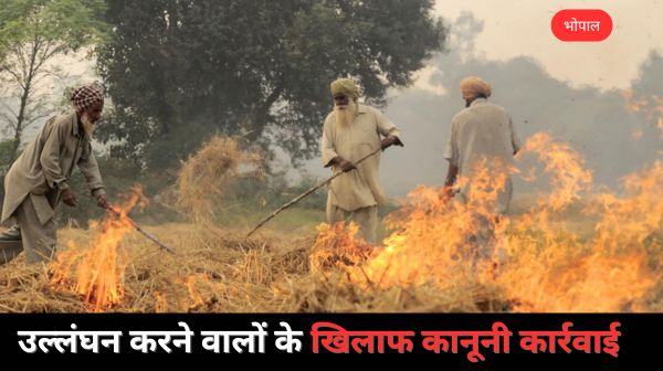 Bhopal कलेक्टर ने पराली जलाने पर प्रतिबंध लगाया, कानूनी कार्रवाई सुनिश्चित